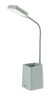 Rabalux Stona lampa Arvid 74244