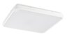 Rabalux LED ploča Alenzo 71423