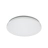 Rabalux Plafonjera Lucas2 71505
