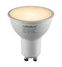 Rabalux LED sijalica SMD-LED 79081