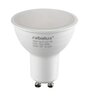 Rabalux LED sijalica SMD-LED 79081
