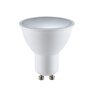 Rabalux LED sijalica SMD-LED 79105