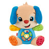 FISHER-PRICE KUCA SVEZNALICA