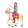 BARBIE I PONI SET