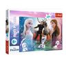 TREF LINE Puzzle 300 Frozen T30062