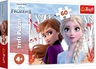 TREF LINE PUZZLE 60  THE ENCHANTED WO T17333