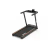 RING traka za trcanje sa 2 motora 2,5 HP (110kg) RX 143