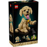 LEGO Štene zlatnog rеtrivera 11384