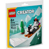 LEGO Snežna avantura mačka Ketaklo 30718