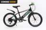 Dečiji bicikl Xplorer Ranger black-green 20"