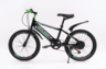 Dečiji bicikl Xplorer Ranger black-green 20"