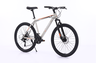 Xplorer MTB bicikl DENVER Sivi 26"
