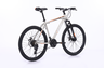 Xplorer MTB bicikl DENVER Sivi 26"