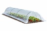 CHOMIK Sklopivi mini plastenik za baštu, folija 1,5 × 4 m. EVA5917