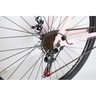 Winnerbike Bicikl 29"/21  maximus pink Bck0950