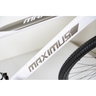 Winnerbike Bicikl 29"/21  maximus white Bck0952