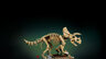 LEGO Fosili dinosaurusa: Triceratops 77985