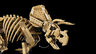 LEGO Fosili dinosaurusa: Triceratops 77985