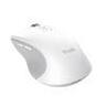 Trust FERRO HYPERWHEEL WRLS MOUSE WH (25674)