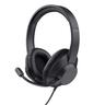 Trust AYDA MAX USB HEADSET (25461)