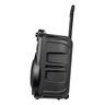 Union PartyBox 100W 15" Trolley UN-PS100T-15