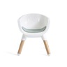 Joie hranilica Chestnut, Mist