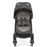 Joie kolica Muze 2u1, 0m+
