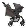 Joie kolica Muze 2u1, 0m+