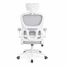 RADNA STOLICA ERGOFORMA SIVA OC-656