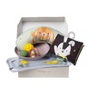 Taf Toys Tummy Time set 22114119