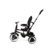 Qplay tricikl Rito Plus 41312243