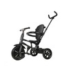 Qplay tricikl Rito Star 41312505