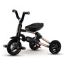 Qplay tricikl Nova Golden 41312450