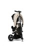 Qplay tricikl Rito Star 41312504