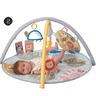 Taf Toys gimnastika 22114097