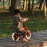 Qplay balanser Trainer 41312136