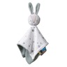Taf Toys zeka tešilica 22114105