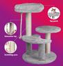 PET COMFORT Stub za grebanje za mačke sivi 40 × 40 × 62 cm
