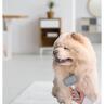 PET TREATMENT 2 u 1 četka za pse