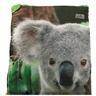EASY CAMP Vreća za spavanje image kids Cuddly koala