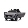Audi sq8 sivi 11653