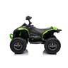 Can-am renegade atv kvad zeleni 4×4 premium oprema 13052