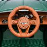 Bentley bacalar zeleni 11573