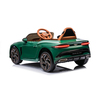 Bentley bacalar zeleni 11573