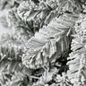 Novogodišnja jelka Snowy Oxford Pine 210cm