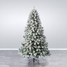 Novogodišnja jelka Snowy Oxford Pine 210cm