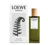 Loewe muški parfem Esencia EDP 75ml