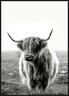 Dekordom Slika sa ramom 60x90 toir25624 - buffalo