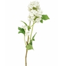 Dekordom Cvet elder 1183181/3 - white - edl