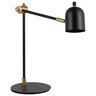 Forma Stona lampa F7138-1T BK+SG
